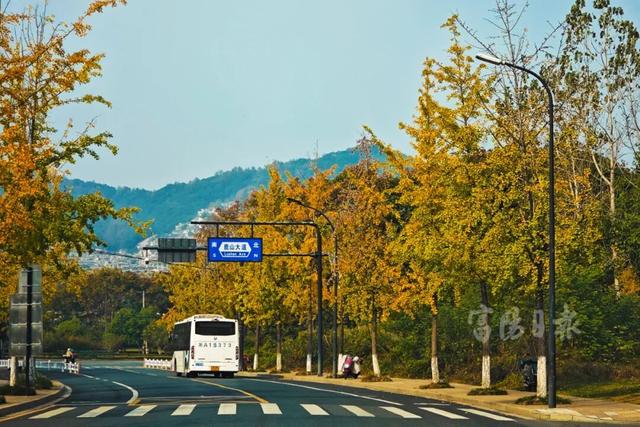 抓紧打卡！富阳人家门口的宝藏美景，错过要等明年！