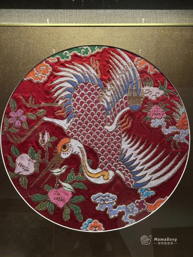 出郑州，开学前还能玩什么？这几个展览免预约，又凉快！