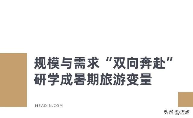 一场研学激活一方文旅？