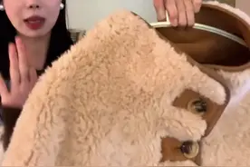 “把赚钱说成赚米”洗脑全网，污染中文的低智黑话终于让网友爆发了图片