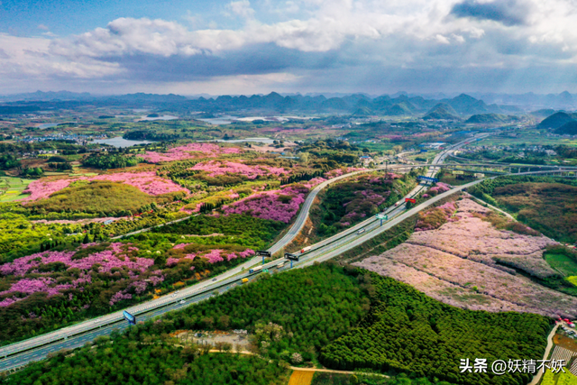 贵州高速副总经理，丁振“翻车”！