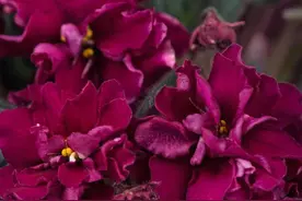 缘分天注定，躲不掉图片