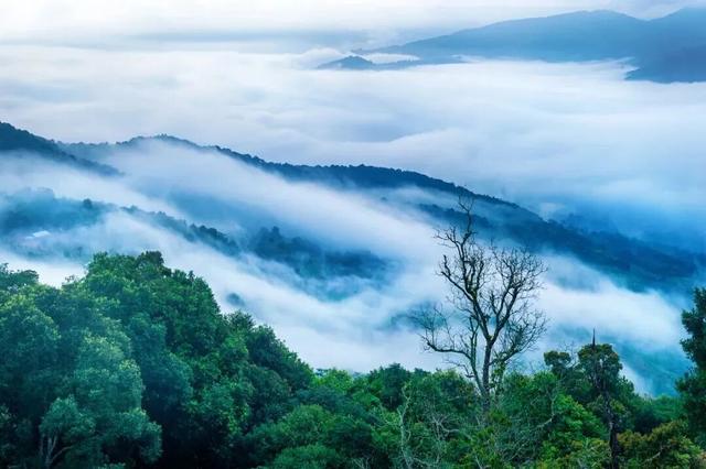 云南上榜全球最佳目的地！跟着《纽约时报》，重新走一遍茶马古道