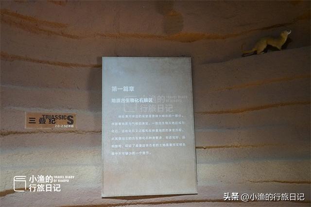 陕西黄河边有座石头博物馆，门口看着不起眼，里面藏着“大宝藏”