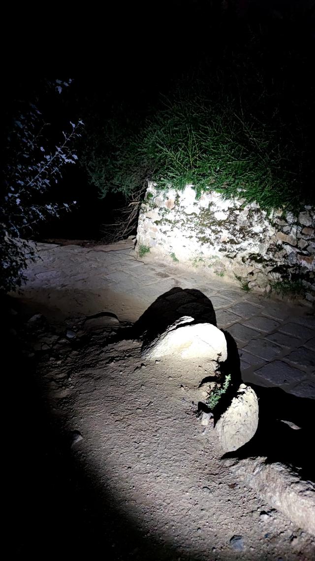 爬拉萨哲蚌寺后山,从海拔3600米到山顶5300米,上下20公里