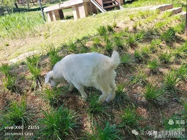 申艳娟｜北京宽沟会议中心：京郊的宁静桃源