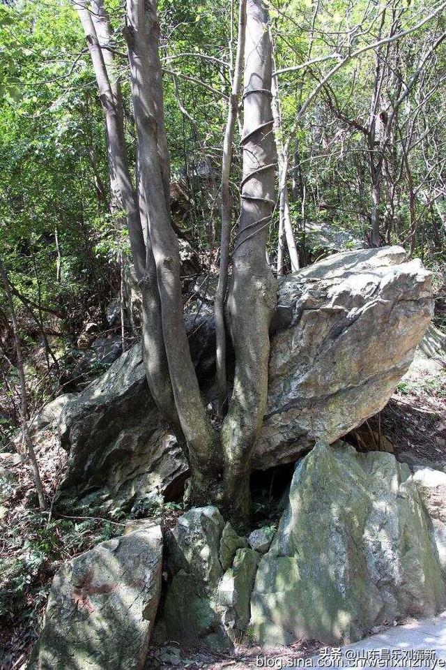 三叠泉拍片的故事[上]（江西之旅第八篇）