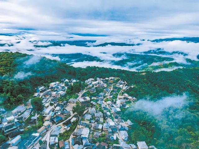 青山定不负人——景迈山申遗成功两周年综述（下）
