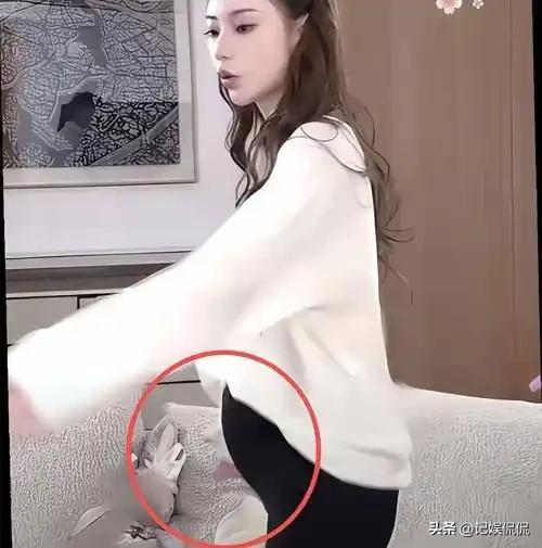 汪小菲一家台北过圣诞，桌上摆茅台吃帝王蟹 小玥儿出镜有了新变化