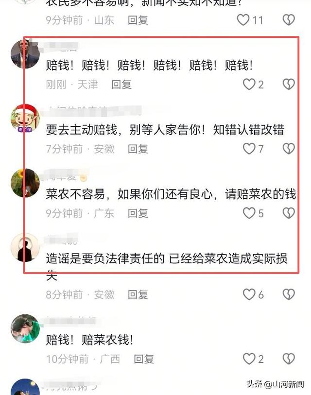 内蒙200亩白菜遭七八百人免费砍，菜农发声，游客反呛：来找我啊