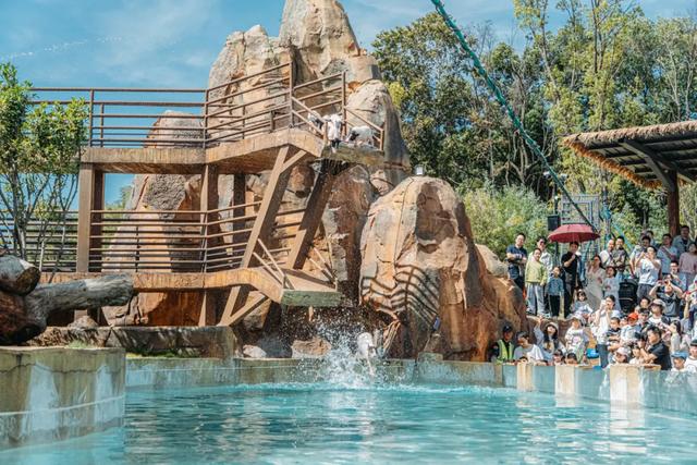 【萌狮叫醒服务】上线！快来给“最萌查房官”取个神仙名字吧！