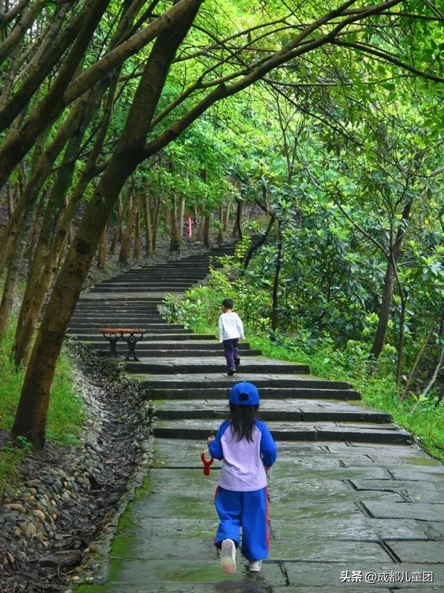 10条初秋徒步线路，去草甸、果园、森林里找秋天