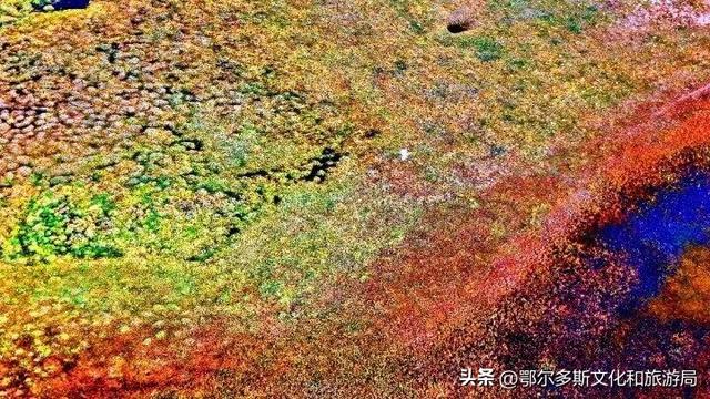 内蒙古杭锦旗：湿地秋景惹人醉