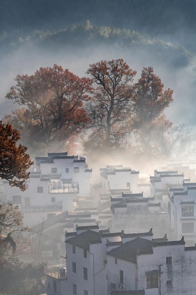 别再只去宏村了！这座水墨小城，藏着大半个徽州的秋，美得更诗意