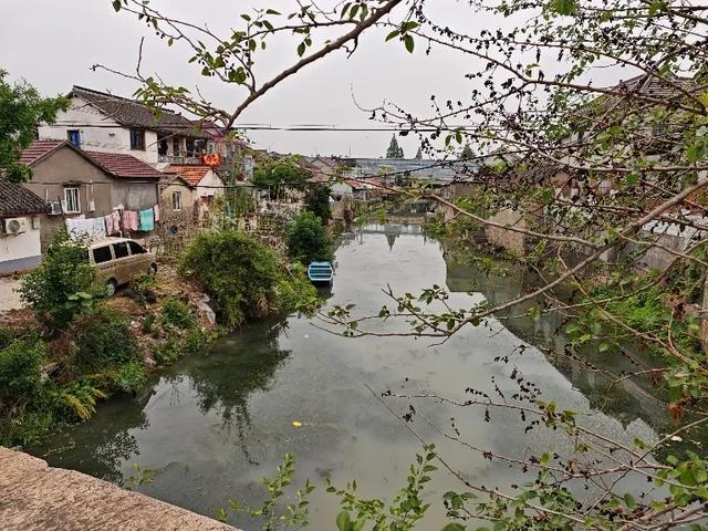 青龙白鹤水千年，古韵村居尽枕河——青浦白鹤古桥小记