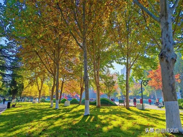 🤏捡捡捡,淄博惊现“捡秋”大神!海岱楼、周村大街…全被捡出来了→