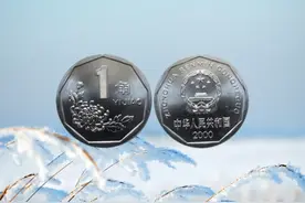 一枚2000多，不起眼的1角硬币，这2种千万要留好！图片