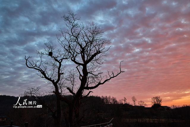 湖北保康：山好水好风光好