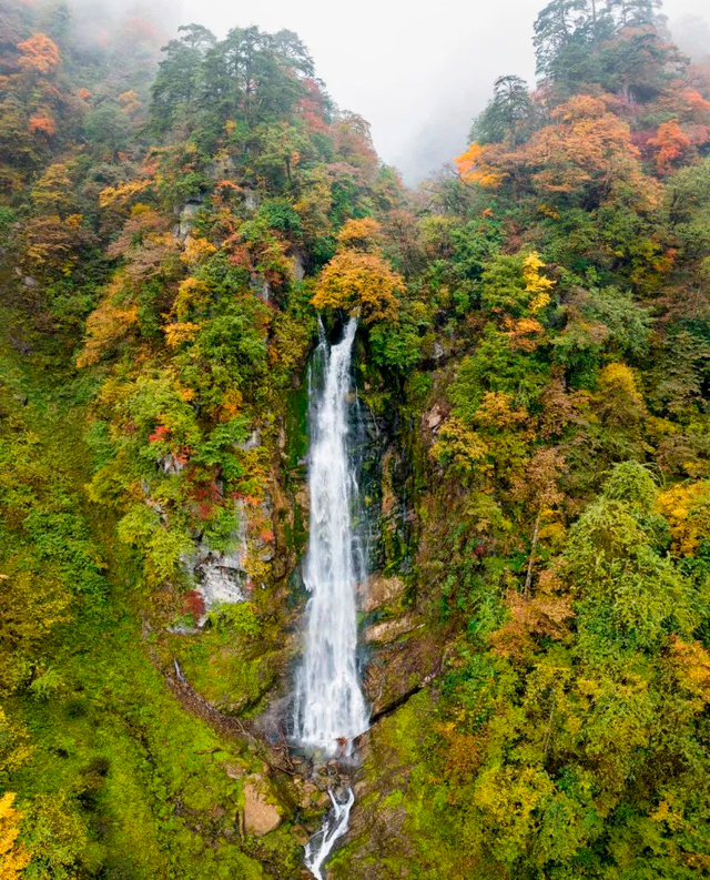 秋天还没过够？那就去乐山留住秋天！