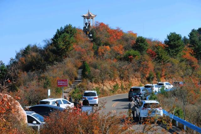 渑池坡头红叶拍摄记：一场迟来的秋日邂逅