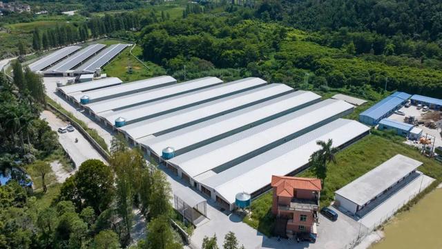 码头风情、咖啡醇香、城堡童话！跟着“悦禄小双”解锁高要新玩法
