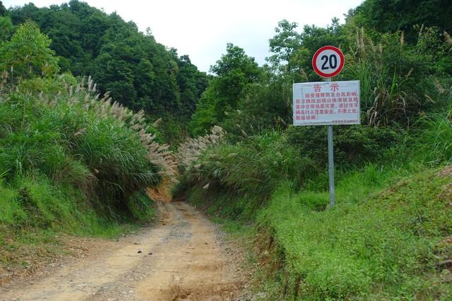 去了银川跟西宁，直言不讳：两地人气质与发展各有乾坤