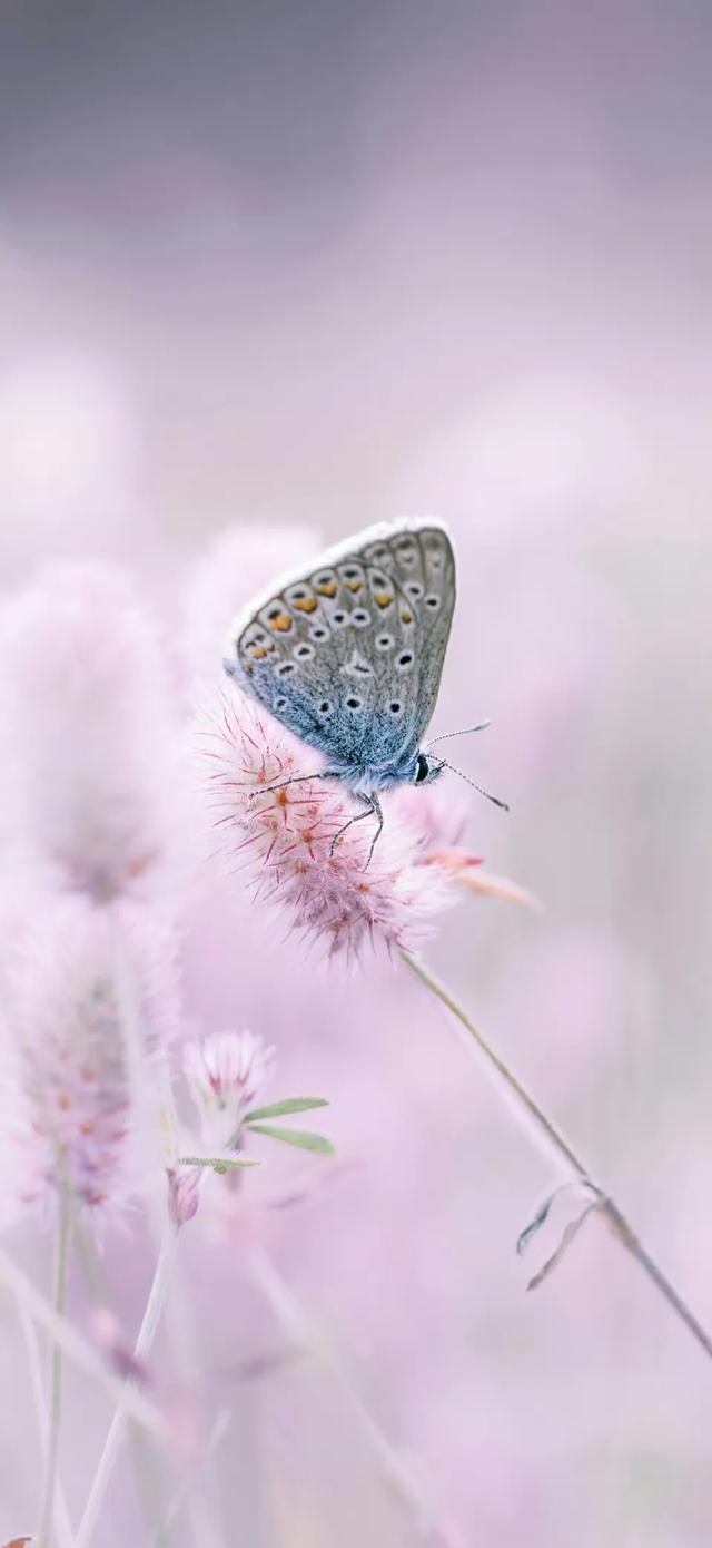 壁纸｜连天气都是瞬息万变的， 谁又能保证身边的一切不会变