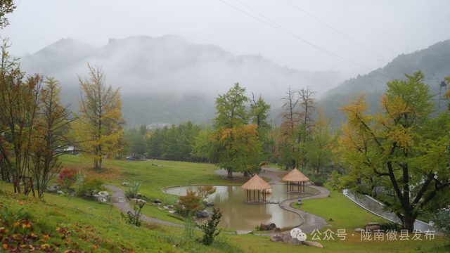 十月秋雨润田河 嘉陵镇银杏梦谷现水墨画卷​