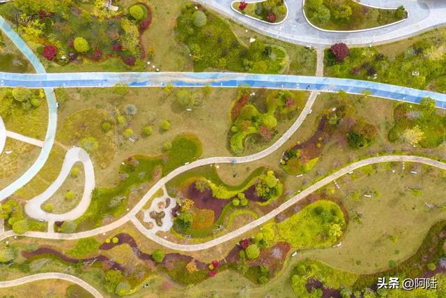 丽江市区的最美秋景在中济海，让我意外的是游客很少，什么原因？