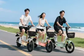 “京东+飞鸽”组CP，千元以下智能电动自行车开挂了图片