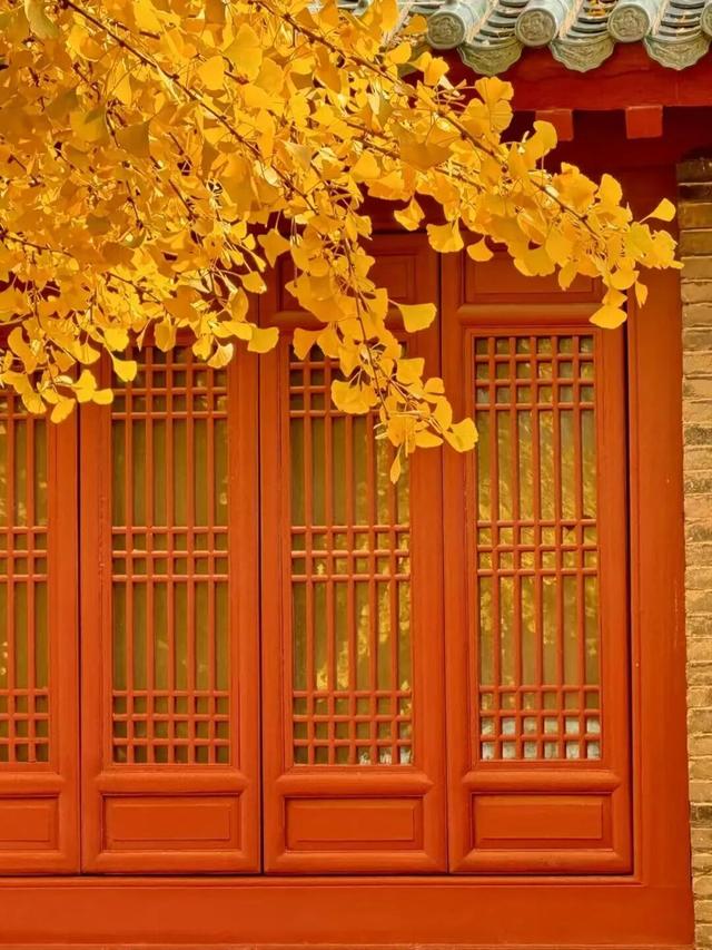 此刻的临沂，把清欢藏进风景里