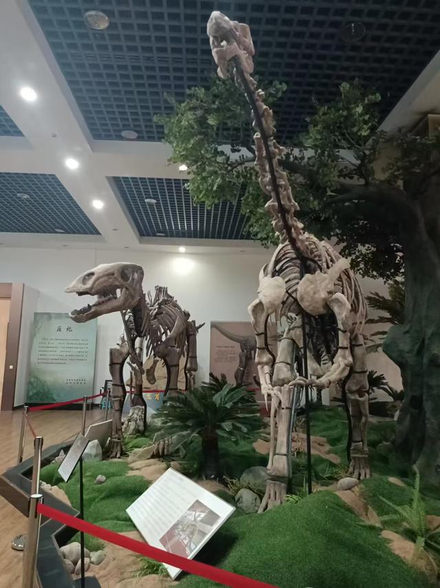 又踏甘肃地之三十三 金昌篇之三 金昌市博物馆（1）