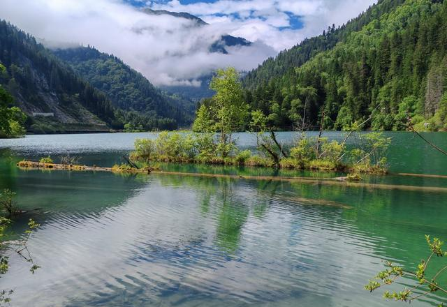 孩子抑郁休学后，我停止安慰	，做了这5件事让他逆袭重生