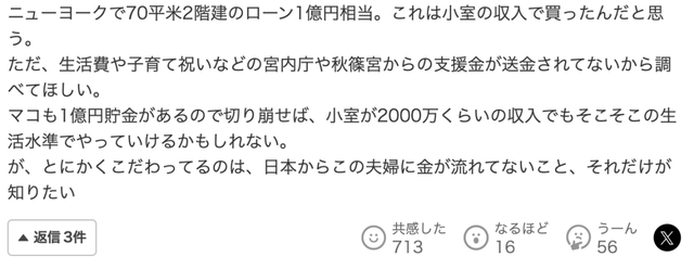 真子和小室圭纽约买房过上中产生活。日网民狂酸：你的工作我的税
