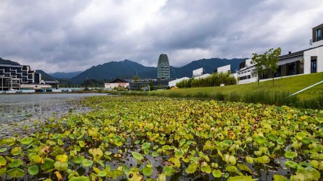 东黄山拾色记 | 皖美冬日 | 第十五届安徽国际文化旅游节