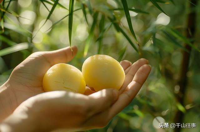 滕州陶山范蠡湖：一汪湖水，藏着中国人最向往的千年归隐传奇