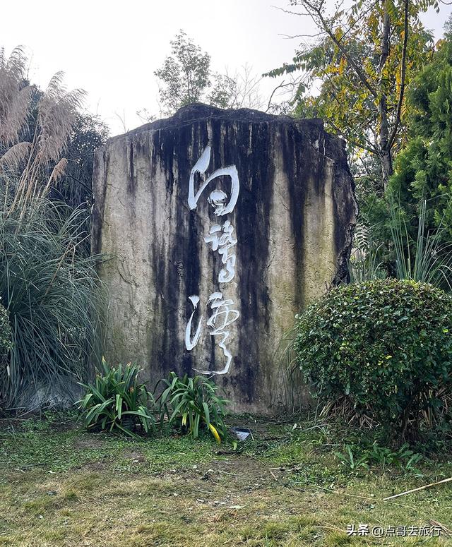 成都最美水杉红了，染红了湖面，不要门票，地铁公交直达！