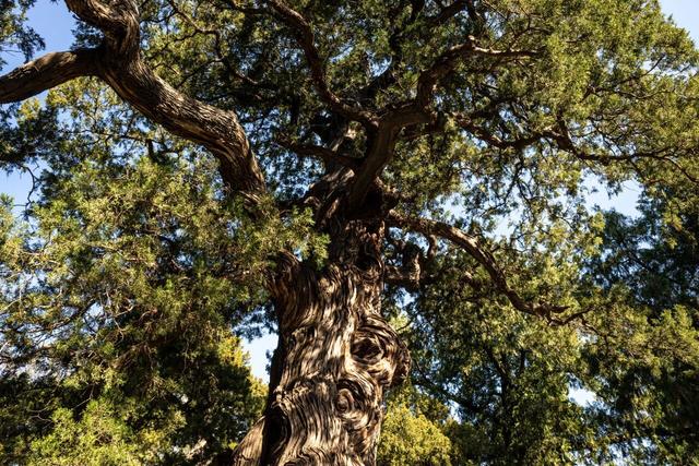 博物FUN | 大觉寺：千年古刹的禅意与新生