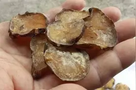 小儿肾病综合症，能治，也好治！我有一方，临床成功率95%！图片