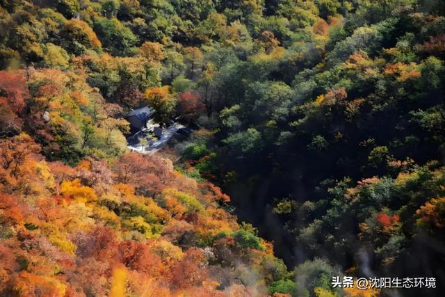 发现沈阳生态之美 | 美到窒息！沈阳赏秋地图发布