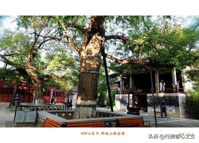 山东行游影记（262）—聊城山陕会馆（五）