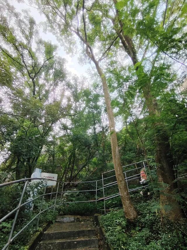 曾腾芳：在珠海登将军山