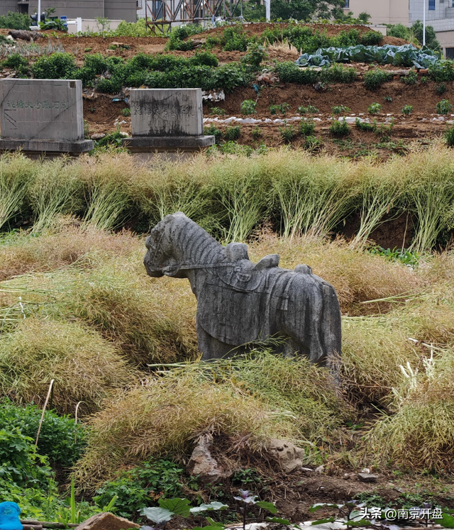 官宣！江宁重磅文物公园，来了！