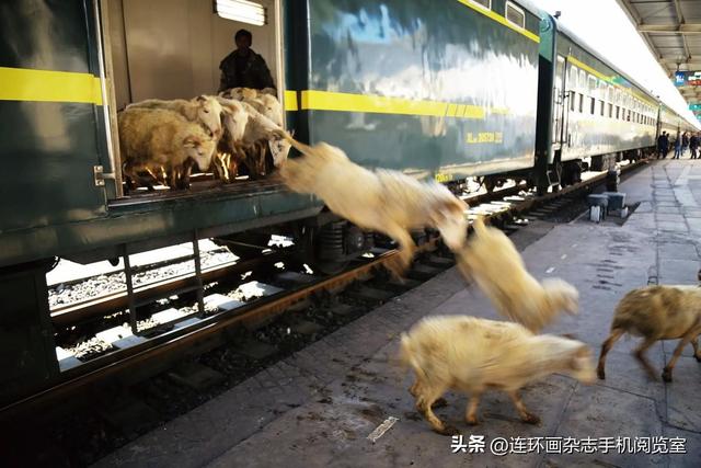 彝路风情绿皮车“5633”：
