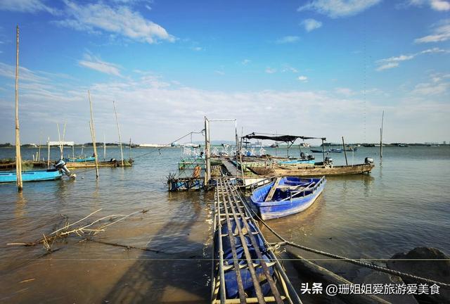 佛山高明小众宝藏渔村！初冬正确打开方式：吹西江风、吃现捞河鲜