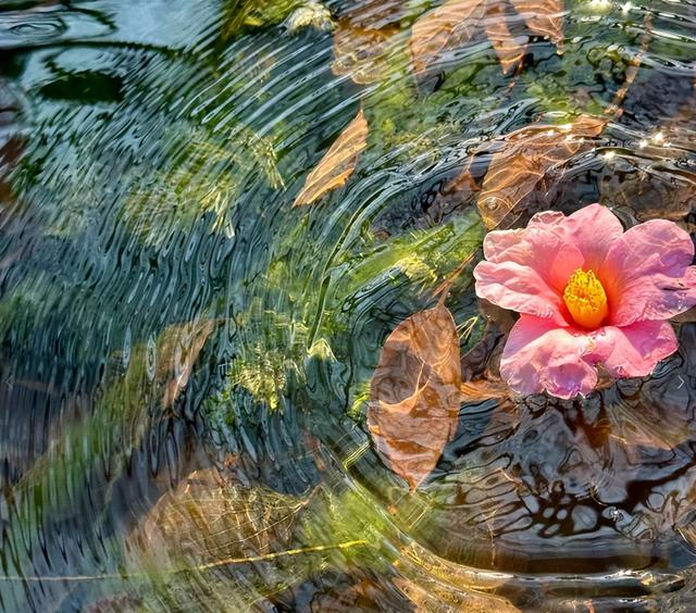 52 人民日报金句：凡是磨你，皆为渡你