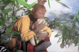 《西游记》中的长生不老到底是什么概念？ 长生不老到底有多难？图片