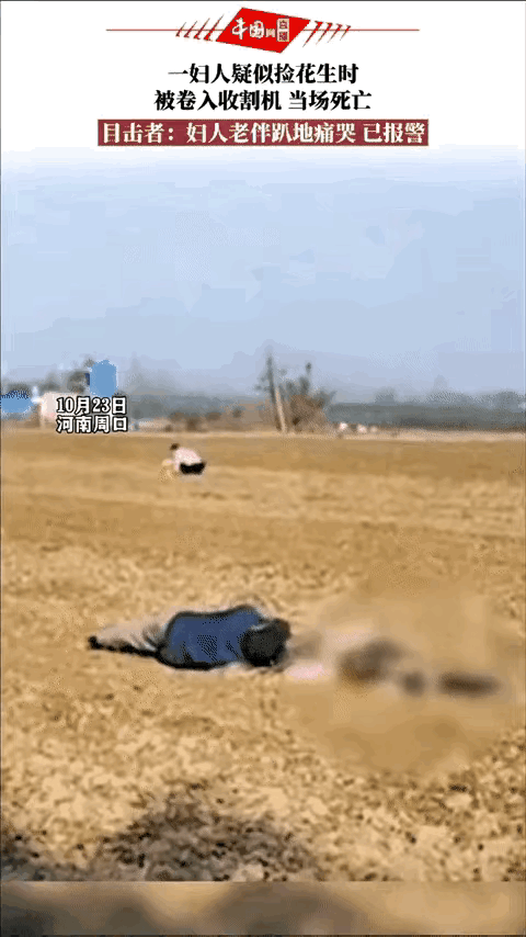 捡花生老人被卷身亡，农主发话机器在地捡一粒都给你抢回来！详情图片