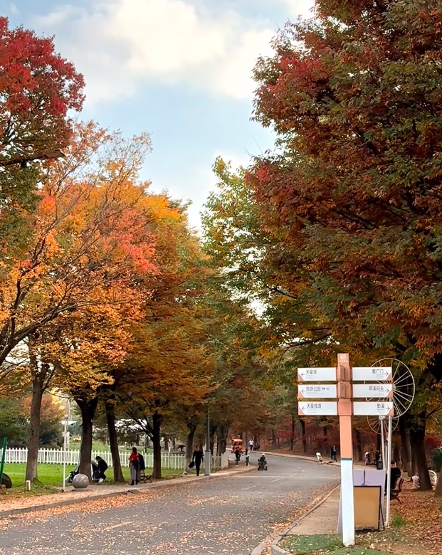 跟着《一路繁花2》打卡花溪~复刻姐姐们同款秋冬美景！