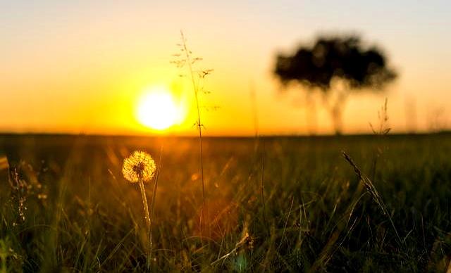 你迟早会明白	，越深爱你的人，越会有 “三不主动”